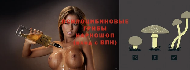 таблы Алексин