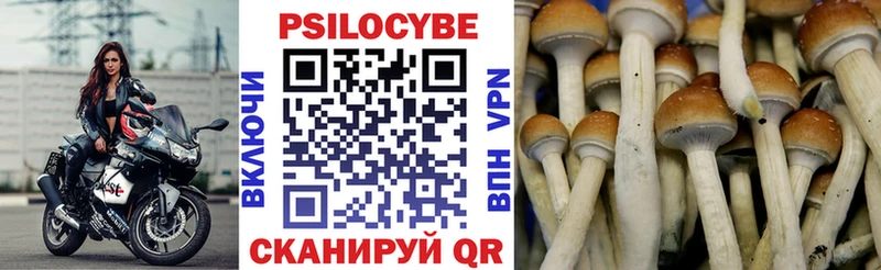 Псилоцибиновые грибы мицелий  купить наркотик  Сорск 